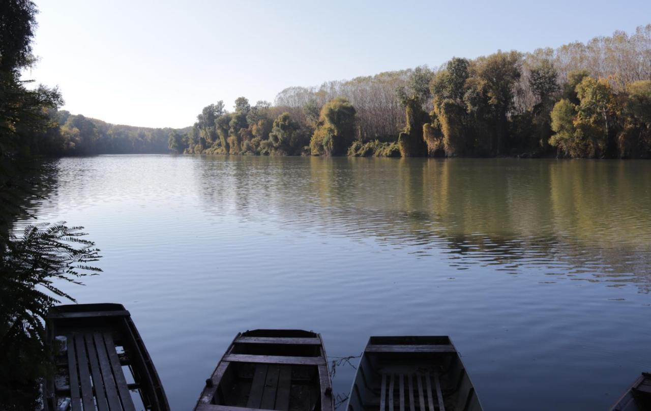 Oeko Kemping Es Glamping Tiszadada Zewnętrze zdjęcie